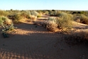 Birdsville Track.20101106_3398