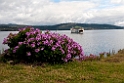Ferry Bruny.20101117_4585
