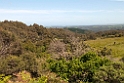 Great Otway N.P.20101109_3558