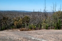 Mount Pilot N.P.20101124_5081