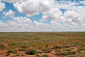 Strzelecki Track.20101030_1807