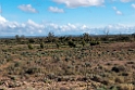 Strzelecki Track.20101030_1897