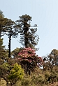 20100424_0148