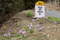 Flowers.20100424_0729