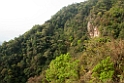 Forest.20100424_0570