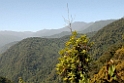 Lingmethang road.20100429_0765