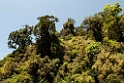 Lingmethang road.20100429_0779