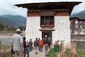 Punakla Dzong.20100424_0661
