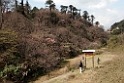 Yotong La.20100424_0156