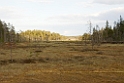 Landskab_SWE5394