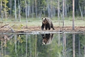 _SWE5421