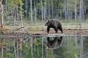_SWE5422