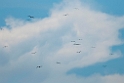 Frigatebirds.20110308_6803