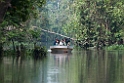 Kinabatang river.20110225_5619