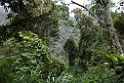 M.T. Kinabula N.P.20110224_5432