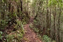 Mt. Kinabalu.20110224_5549