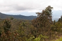 Raffesia center.20110304_6700