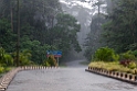 Rain.20110224_5389