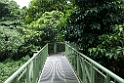 Sepilok.20110224_5346