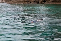 Snorkling.20110308_6910