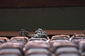 Blackish Nightjar02-01