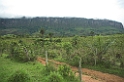 Canastra-03