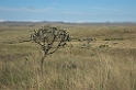 Canastra-06