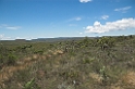 Canastra-07
