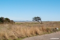 Mark.200920sep_3155
