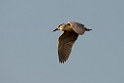 Nathejre.20140311_8107