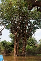 Tonlo Sop Reserve.20140311_8117