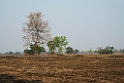 Trapeang Tmor.20140311_7993