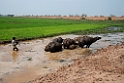 Trapeang Tmor.20140311_7999