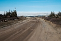 Churchill_DSC57032014-0609