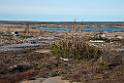 Churchill_DSC570720140610