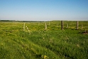 Grassland_DSC523120140605