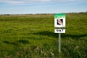 Grassland_DSC537120140606