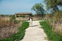 Marinna Old Hammock Marsh_DSC505220140601