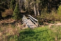 Riding Mountain_DSC521020140604