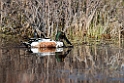 Skeand_DSC612320140612