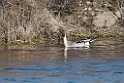 Spidsand_DSC588220140611