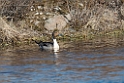 Spidsand_DSC588920140611