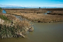 Ebro-deltaet.20140326_8161