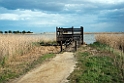 Ebro-deltaet.20140326_8367