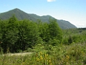 DSCN0882