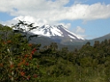 DSCN0886
