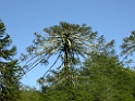DSCN0891