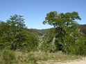 DSCN0893