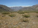 DSCN0900