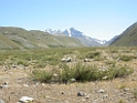 DSCN0902